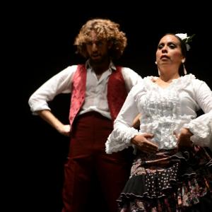 Fotografía de Proyecto flamenco - Proyecto Flamenco