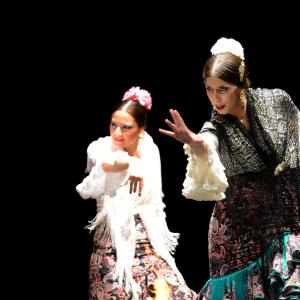 Fotografía de Proyecto flamenco - Proyecto Flamenco
