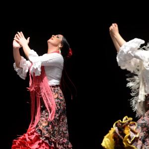 Fotografía de Proyecto flamenco - Proyecto Flamenco
