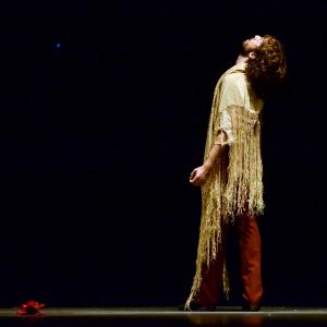 Fotografía de Proyecto flamenco - Proyecto Flamenco