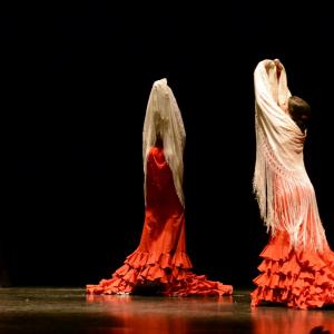 Fotografía de Proyecto flamenco - Proyecto Flamenco