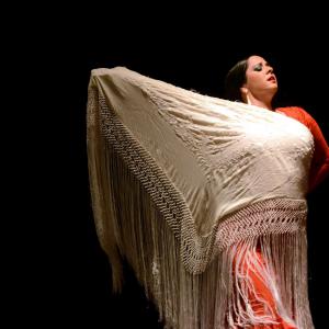 Fotografía de Proyecto flamenco - Proyecto Flamenco