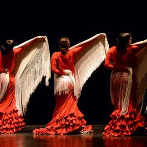 Fotografía de Proyecto flamenco - Proyecto Flamenco