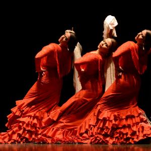 Fotografía de Proyecto flamenco - Proyecto Flamenco