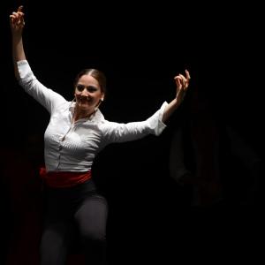 Fotografía de Proyecto flamenco - Proyecto Flamenco