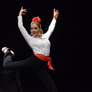 Fotografía de Proyecto flamenco - Proyecto Flamenco