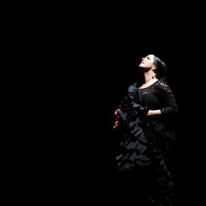 Fotografía de Proyecto flamenco - Proyecto Flamenco