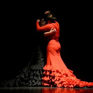 Fotografía de Proyecto flamenco - Proyecto Flamenco