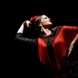 Fotografía de Proyecto flamenco - Proyecto Flamenco