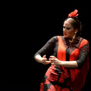 Fotografía de Proyecto flamenco - Proyecto Flamenco