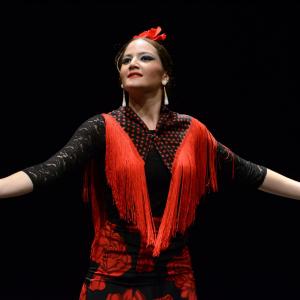 Fotografía de Proyecto flamenco - Proyecto Flamenco