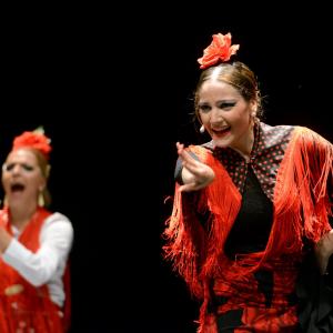 Fotografía de Proyecto flamenco - Proyecto Flamenco