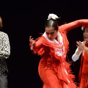 Fotografía de Proyecto flamenco - Proyecto Flamenco