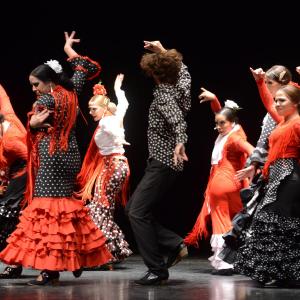Fotografía de Proyecto flamenco - Proyecto Flamenco