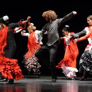 Fotografía de Proyecto flamenco - Proyecto Flamenco