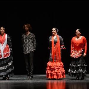 Fotografía de Proyecto flamenco - Proyecto Flamenco