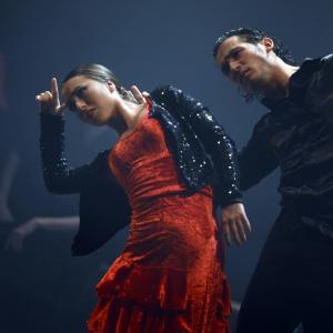 Fotografía de Trazos - Conservatorio de Danza