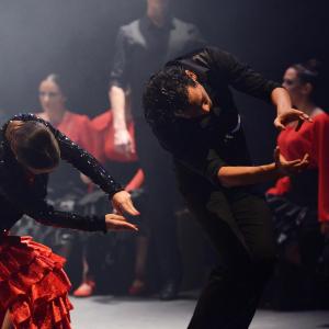 Fotografía de Trazos - Conservatorio de Danza
