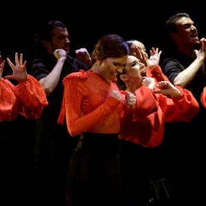 Fotografía de Trazos - Conservatorio de Danza