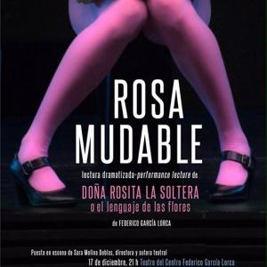 Fotografía de Rosa mudable - 