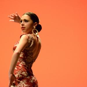 Fotografía de Concurso de coreografías. Nivel I - Conservatorio de Danza