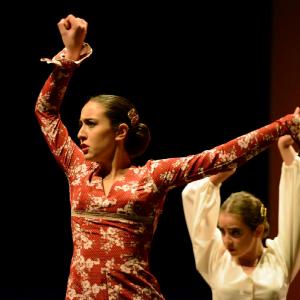 Fotografía de Concurso de coreografías. Nivel I - Conservatorio de Danza