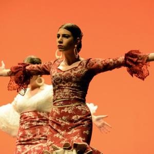 Fotografía de Concurso de coreografías. Nivel I - Conservatorio de Danza