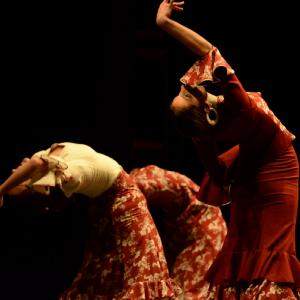 Fotografía de Concurso de coreografías. Nivel I - Conservatorio de Danza