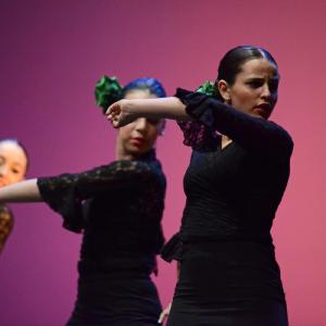 Fotografía de Concurso de coreografías. Nivel I - Conservatorio de Danza