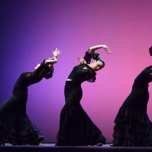 Fotografía de Concurso de coreografías. Nivel I - Conservatorio de Danza