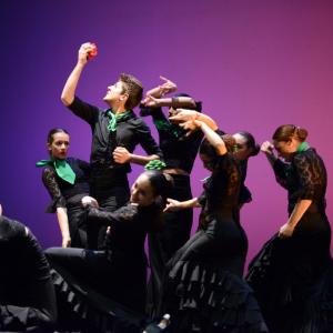 Fotografía de Concurso de coreografías. Nivel I - Conservatorio de Danza