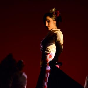Fotografía de Concurso de coreografías. Nivel II - Conservatorio de Danza