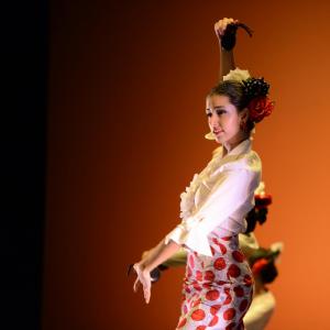 Fotografía de Concurso de coreografías. Nivel II - Conservatorio de Danza
