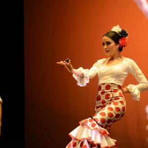 Fotografía de Concurso de coreografías. Nivel II - Conservatorio de Danza