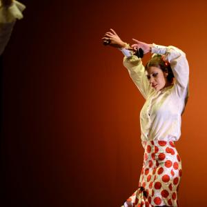 Fotografía de Concurso de coreografías. Nivel II - Conservatorio de Danza