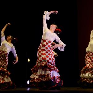 Fotografía de Concurso de coreografías. Nivel II - Conservatorio de Danza