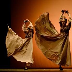 Fotografía de Concurso de coreografías. Nivel II - Conservatorio de Danza