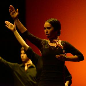 Fotografía de Concurso de coreografías. Nivel II - Conservatorio de Danza