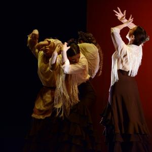 Fotografía de Concurso de coreografías. Nivel II - Conservatorio de Danza
