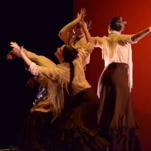 Fotografía de Concurso de coreografías. Nivel II - Conservatorio de Danza