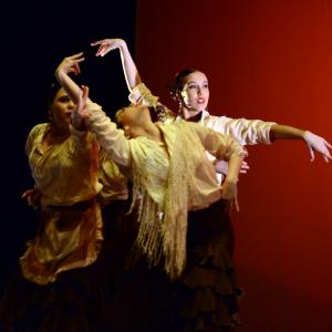 Fotografía de Concurso de coreografías. Nivel II - Conservatorio de Danza