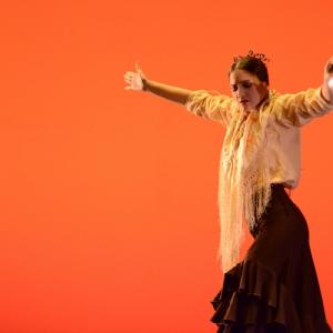 Fotografía de Concurso de coreografías. Nivel II - Conservatorio de Danza