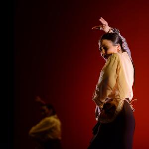 Fotografía de Concurso de coreografías. Nivel II - Conservatorio de Danza