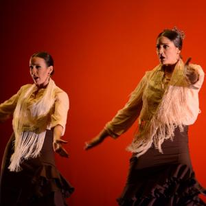 Fotografía de Concurso de coreografías. Nivel II - Conservatorio de Danza