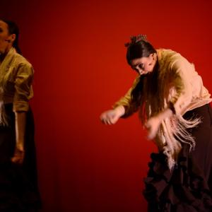 Fotografía de Concurso de coreografías. Nivel II - Conservatorio de Danza