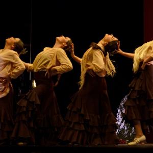 Fotografía de Concurso de coreografías. Nivel II - Conservatorio de Danza
