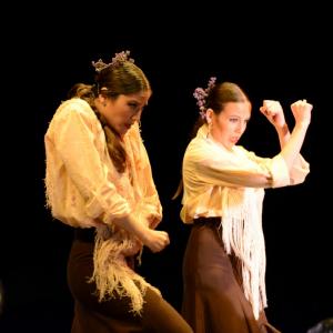 Fotografía de Concurso de coreografías. Nivel II - Conservatorio de Danza
