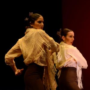 Fotografía de Concurso de coreografías. Nivel II - Conservatorio de Danza