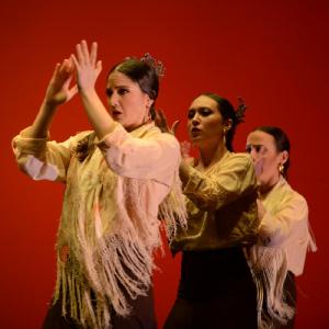 Fotografía de Concurso de coreografías. Nivel II - Conservatorio de Danza