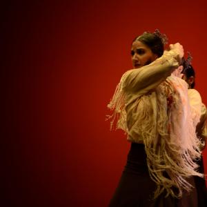 Fotografía de Concurso de coreografías. Nivel II - Conservatorio de Danza